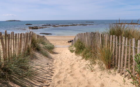 Maison Caradec: Beach, Body Of Water, Coast, Natural Environment, Shore, Coastal And Oceanic Landforms, Sand, Horizon, Sea, Summer