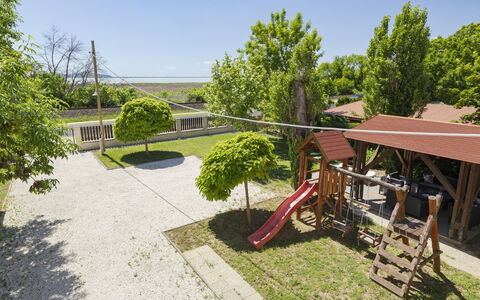 Petka: Shrub, Garden, Shade, Landscaping, Lawn, Yard, Estate, Backyard, Hacienda
