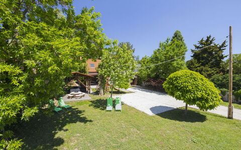 Petka: Tree, Shrub, Garden, Lawn, Shade, Landscaping, Yard, Park, Backyard, Hacienda