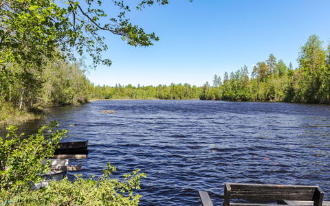 Piggsmåla: Water, Water Resources, Tree, Nature, Natural Environment, Watercourse, Summer, Natural Landscape, Bank, Lake