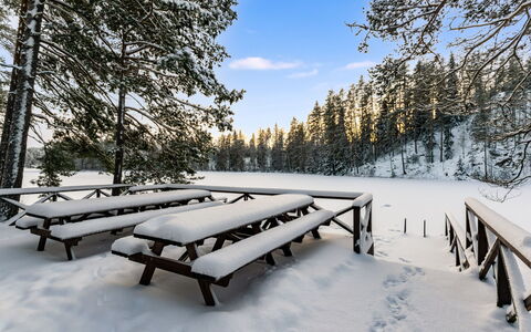 Villa Loisto: Snow, Winter, Tree, Wood, Branch, Outdoor Bench, Landscape, Freezing, Outdoor Furniture, Picnic Table
