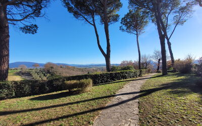 Villa El Olivar