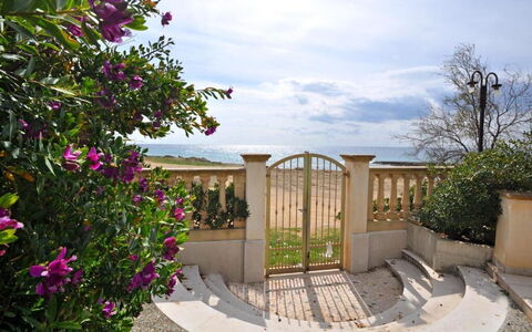 Appartamento Calanca, Marina di Mancaversa: Sea, Ocean, Garden, Shade, Coast, Landscaping, Balcony, Walkway, Flowerpot, Houseplant