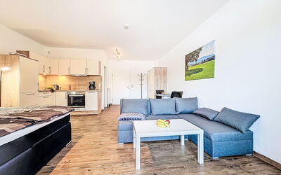 Alpenlodge-Spitzenstein 110.1: Furniture, Wood, Apartment, Interior Design, Home, Room, Couch, Living Room, Hardwood