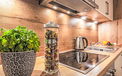Accommodation:&nbsp;Alpenlodge Hochvogel 110.3
