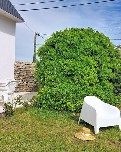 Magdalena: Garden, Shade, Yard, Landscaping, Backyard, Outdoor Furniture, Hedge