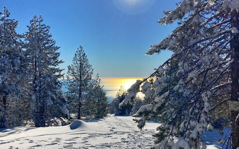 Apartment, Garden, Beigua Unesco Global Geopark: Blue, Branch, Winter, Snow, Tree, Nature, Sun, Landscape, Freezing