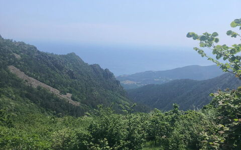 Apartment, Garden, Beigua Unesco Global Geopark: Mountainous Landforms, Leaf, Vegetation, Hill, Mountain, Highland, Hill Station, Wilderness, Landscape, Plant Community