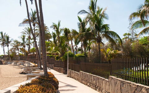 El Veril: Tree, Trunk, Woody Plant, Tropics, Walkway, Coast, Beach, Shade, Vacation