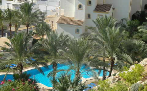 Altea Dorada: Swimming Pool, Vegetation, Property, Resort, Palm Tree, Tree, Azure, Arecales, Vacation, Hotel