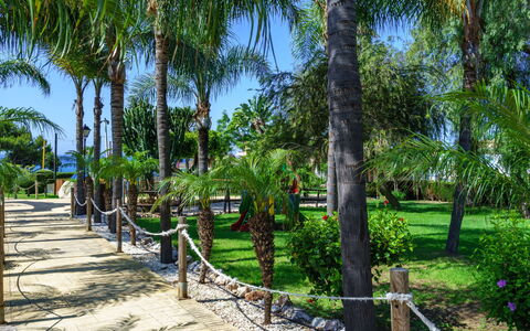 Cala Serena Village: Tree, Vegetation, Woody Plant, Trunk, Shade, Tropics, Walkway