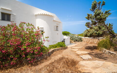 Sa Blanca: Shrub, Plant Community, Garden, Shrubland, Landscaping, Wildflower