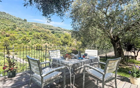 Micuzzo: Furniture, Outdoor Furniture, Chair, Outdoor Table, Table, Kitchen & Dining Room Table, Garden, Shade, Yard, Backyard