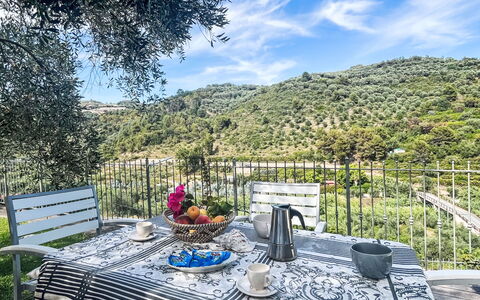 Micuzzo: Furniture, Outdoor Furniture, Chair, Outdoor Table, Kitchen & Dining Room Table, Patio, Restaurant, Eco Hotel, Balcony, Coffee Table