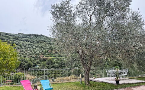 Micuzzo: Garden, Shade, Fence, Yard, Landscaping, Park, Outdoor Furniture, Backyard, Home Fencing