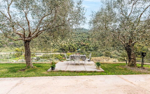 Micuzzo: Tree, Landscape, Shrub, Garden, Spring, Landscaping, Shade, Park, Lawn, Botanical Garden