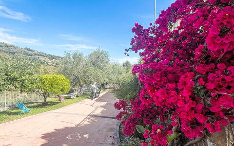 Micuzzo: Flower, Shrub, Pink, Spring, Garden, Petal, Flowering Plant, Botanical Garden, Blossom