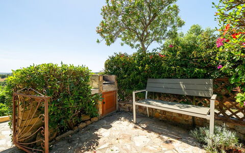 Casetta nel Blu: Shrub, Garden, Flowerpot, Plant Community, Furniture, Spring, Outdoor Furniture, Outdoor Bench, Landscaping