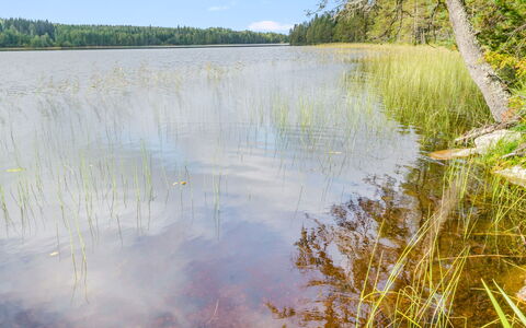 Kuikkaranta: Water, Water Resources, Nature, Green, Natural Environment, Natural Landscape, Marsh, Bank, Reflection