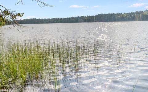 Kuikkaranta: Water, Water Resources, Body Of Water, Natural Environment, Nature, Marsh, Natural Landscape, Bank