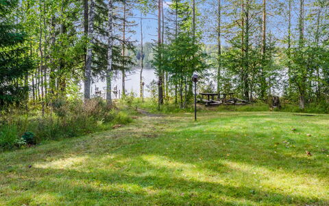 Kuikkaranta: Green, Grass, Tree, Natural Environment, Leaf, Vegetation, Natural Landscape, Summer, Land Lot