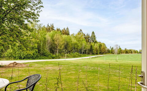 Hönetorpet: Tree, Grass, Land Lot, Lawn, Garden, Sunlight, Landscaping, Meadow, Shade, Chair
