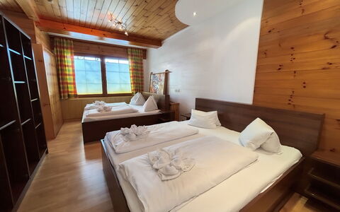 Sankt Michael im Lungau 100: Hardwood, Wood Stain, Balcony, Eco Hotel, Plank, Wood Flooring, Hotel, Lumber, Mountain Village