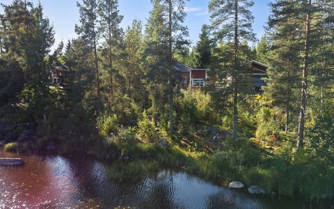 Tiirinniemi 27 a: Tree, Nature, Natural Environment, Natural Landscape, Landscape, Forest, Bank, Riparian Zone, Larch