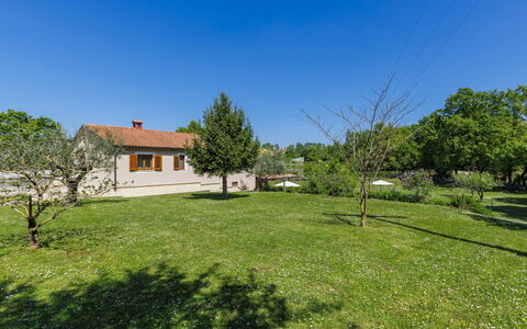 Villa Križanci: Tree, Grass, House, Shrub, Home, Rural Area, Plain, Landscape, Residential Area