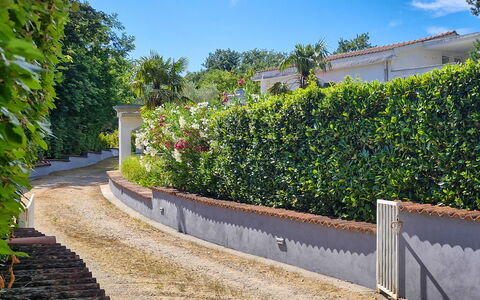 Filip: Green, Leaf, Vegetation, Shrub, Hedge, Garden, Landscaping, Shade, Walkway, Driveway