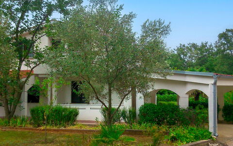 Filip: Leaf, Branch, Shrub, Garden, Spring, Woody Plant, Backyard, Shade, Yard, Lawn