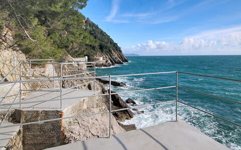 Laccadiva: Coastal And Oceanic Landforms, Coast, Sea, Ocean, Shore, Headland, Promontory, Cliff, Tropics