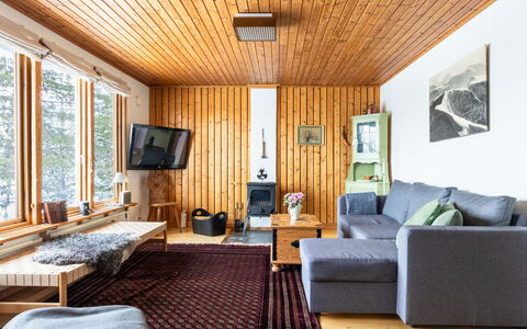Solgläntan: Furniture, Interior Design, Flooring, Floor, Couch, Wood, Ceiling, Living Room, Room, Wood Flooring