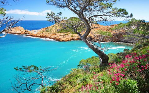 Roca Mas Mato: Blue, Green, Natural Landscape, Coast, Coastal And Oceanic Landforms, Rock, Landscape, Shore, Cove, Sea