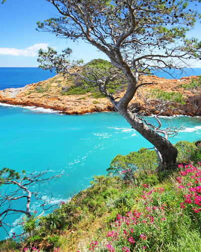Cala Moreta