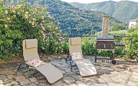 Amica: Furniture, Outdoor Furniture, Chair, Shade, Canopy, Outdoor Table, Outdoor Structure, Patio, Awning, Kitchen & Dining Room Table