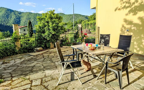 Amica: Furniture, Outdoor Furniture, Chair, Shade, Canopy, Outdoor Table, Outdoor Structure, Patio, Awning, Kitchen & Dining Room Table