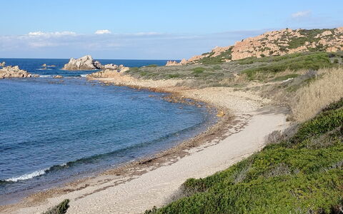 Rocciarossa: Coast, Coastal And Oceanic Landforms, Sea, Shore, Rock, Cove, Headland, Terrain, Beach, Ocean