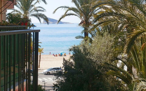 Turia Playa: Tree, Palm Tree, Arecales, Property, Vacation, Attalea Speciosa, Woody Plant, Plant, Resort, Tropics