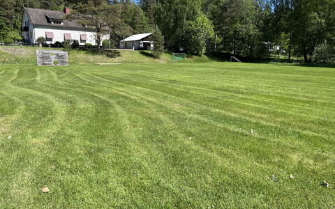 Skolhuset: Grass, Tree, Grassland, Shrub, Land Lot, Lawn, Plain, Meadow, Groundcover