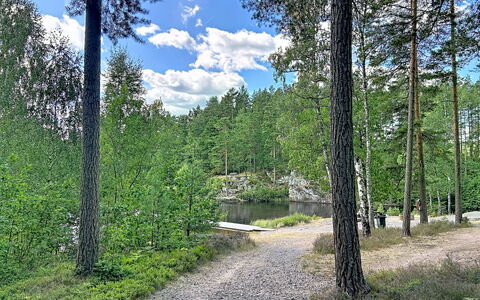 Skolhuset: Tree, Nature, Natural Environment, Leaf, Vegetation, Natural Landscape, Forest, Plant Community, Landscape