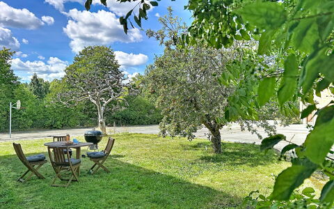 Skolhuset: Tree, Green, Grass, Leaf, Branch, Vegetation, Shrub, Garden, Land Lot, Lawn