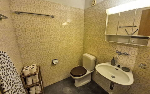 Crans-Léman 5: Bathroom, Toilet Seat, Bathroom Sink, Plumbing Fixture, Wall, Flooring, Toilet, Floor, Sink, Tap