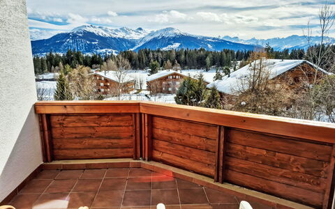 Crans-Léman 5: Wood, Mountain Range, Wood Stain, Valley, Alps, Hardwood, Balcony, Ridge, Plank, Winter