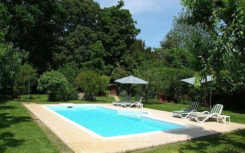 Villa Castellani: Swimming Pool, Garden, Resort, Shade, Backyard, Landscaping, Lawn, Leisure, Eco Hotel
