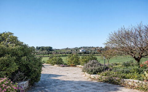 Trulli al Verde Viburno: Shrub, Garden, Plant Community, Groundcover, Landscaping, Woody Plant, Botanical Garden, Shade, Hedge
