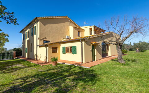 La Casa del Prime: Leaf, Vegetation, Shrub, Garden, Plant Community, Landscaping, Woody Plant, Lawn, Shade, Yard