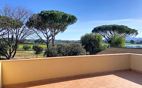 La Casa del Prime: Leaf, Vegetation, Shrub, Garden, Plant Community, Landscaping, Woody Plant, Lawn, Shade, Yard
