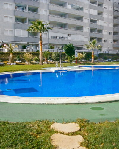 Agua Viva: Water, Plant, Building, Property, Daytime, Window, Swimming Pool, Azure, Tree, Body Of Water