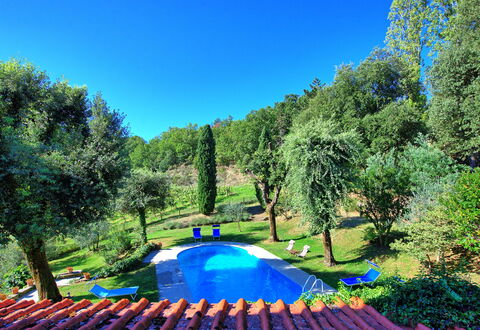 Villa Ulivacci: Blue, Garden, Swimming Pool, Lawn, Shade, Backyard, Landscaping, Park, Yard, Outdoor Furniture